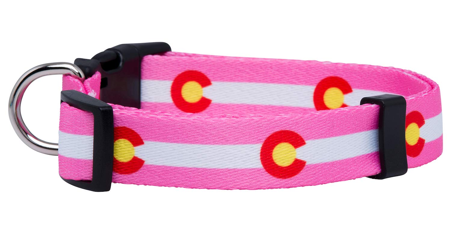 Native Pup Colorado State Flag Dog Collar (Colorado Pink, Large)