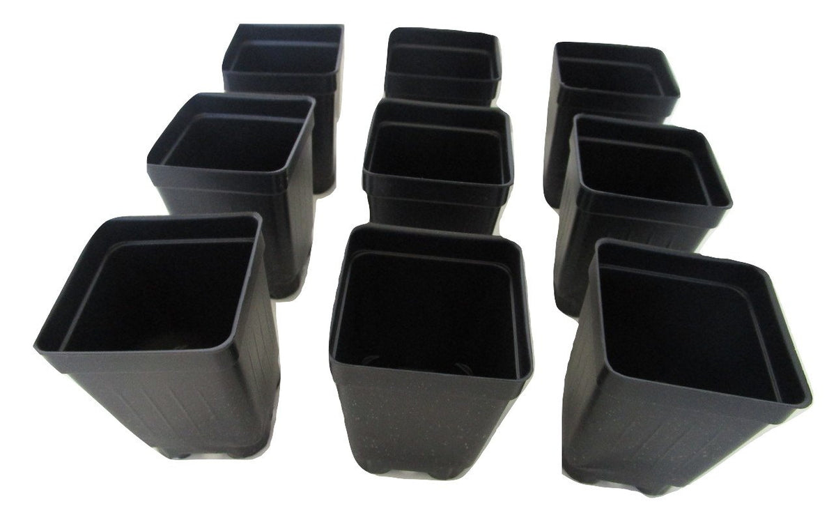 25 Square Extra Deep Landmark Nursery Pots - Press Fit (100)