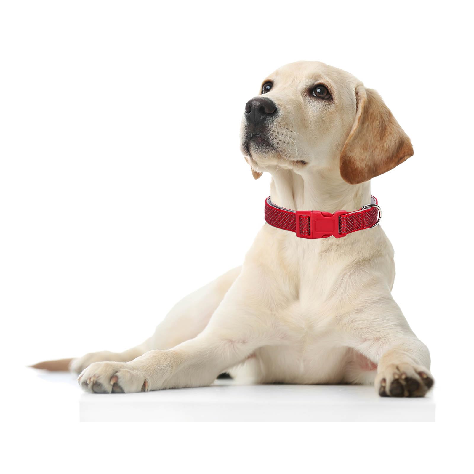 Reflective Dog Collar Padded-4 Size, Breathable Nylon Soft Neoprene Pet Collar For Small Medium And Large Dogs (Red, L)