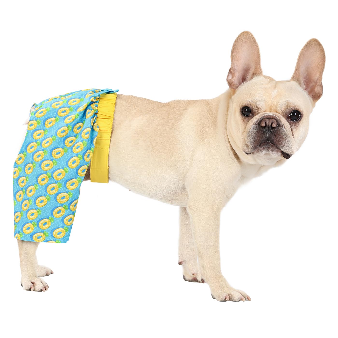 Hde Dog Swim Trunks Hawaiian Board Shorts Beach Pool Swimsuit For Xs To Xxl Dogs Pineapple Floats - Xs