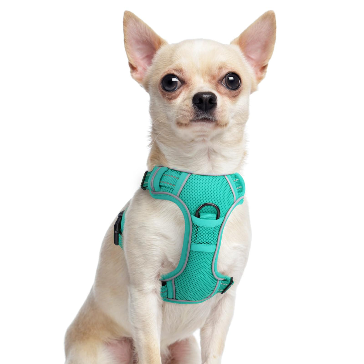 Joytale Step-In No Pull Dog Harness For Puppy Small Dogs With 2 Leash Clips, Reflective Pet Vest With Easy Control Handle, Adjus