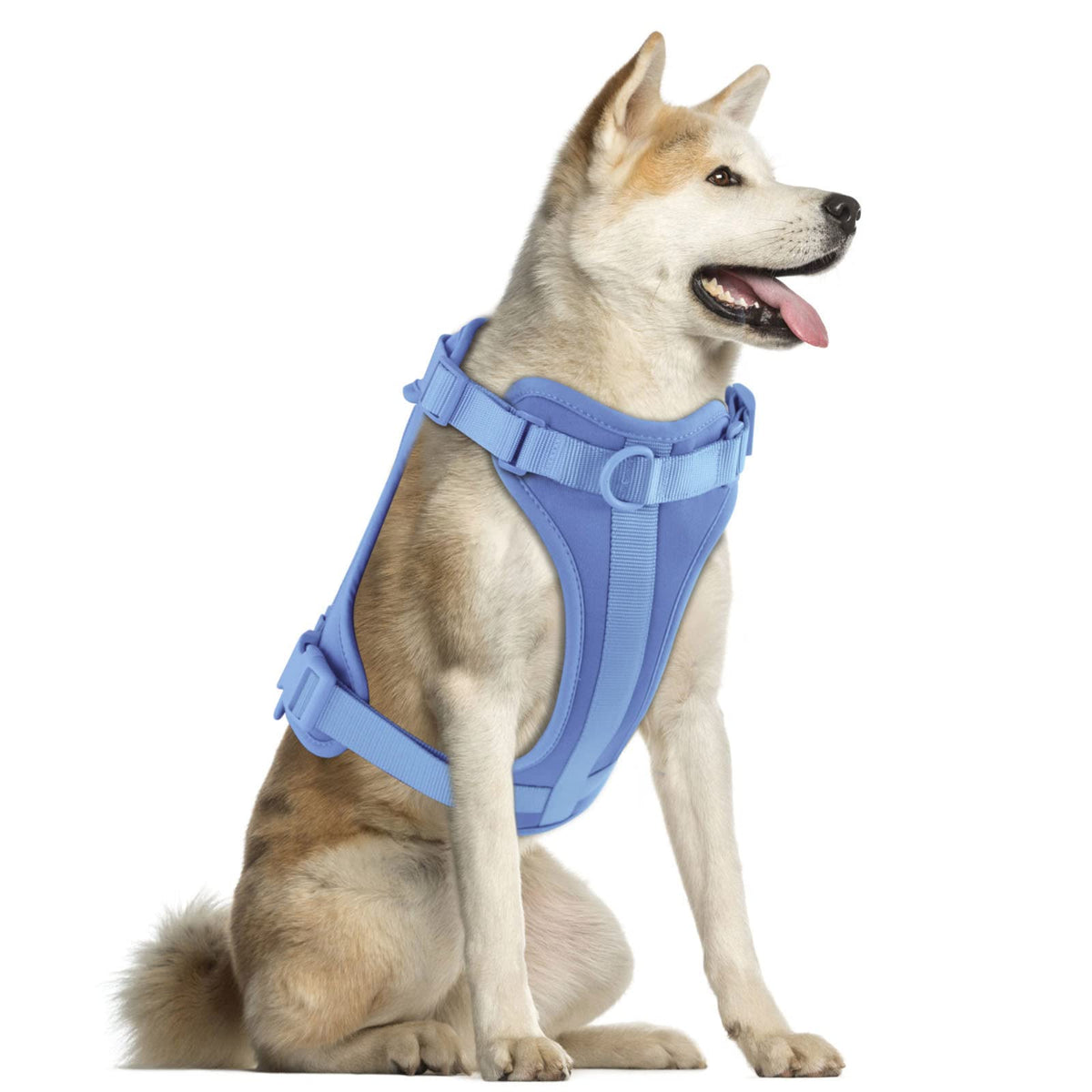 Wisedog No Pull Lightweight Dog Vest Harness With Soft And Comfortable Cushion, Breathable Mesh, For Small Medium Large Dogs Walking (L(Neck: 16.15'-20.86';Chest: 24.02'-38.19'), Blue)