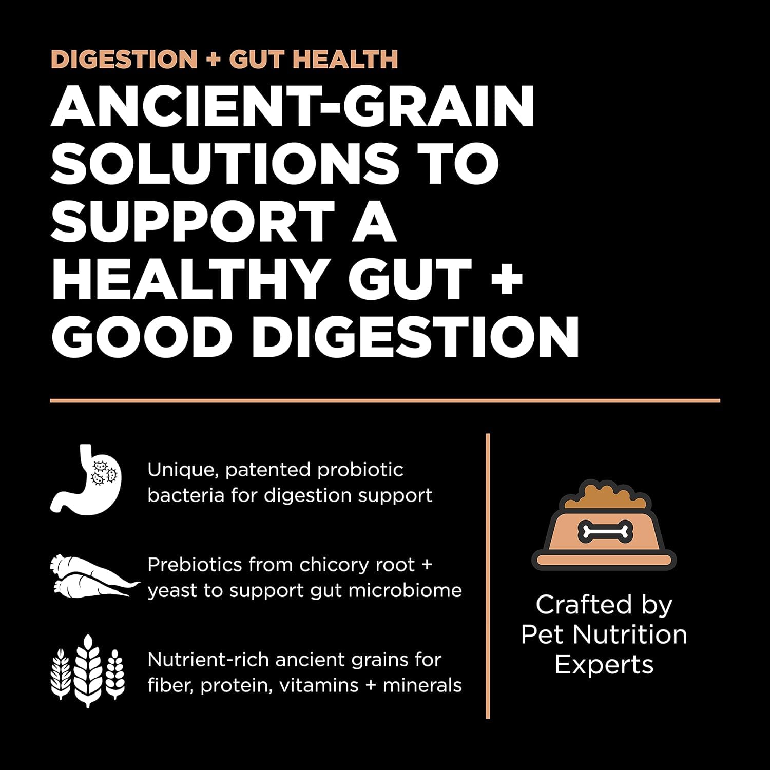 Go! Solutions Digestion + Gut Health Salmon Dry Dog Food, Premium Chicken-Free Kibble for Gastrointestinal & Digestive Wellness,