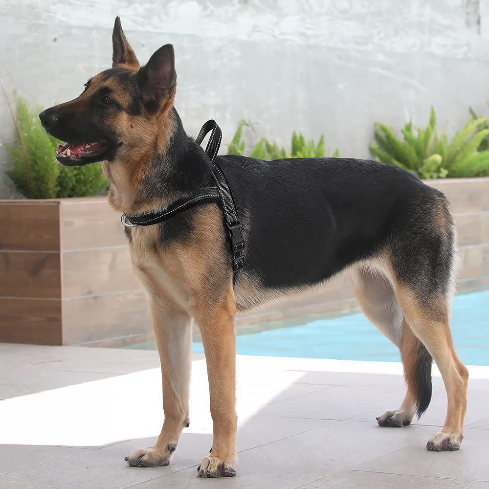 Plutus Pet No Pull Dog Harness With Breathable Mesh Padded, Adjustable Reflective Escape Proof Dog Harness, Quick Fit Dog Vest Harness For Small Medium Large Dogs(L, Red)