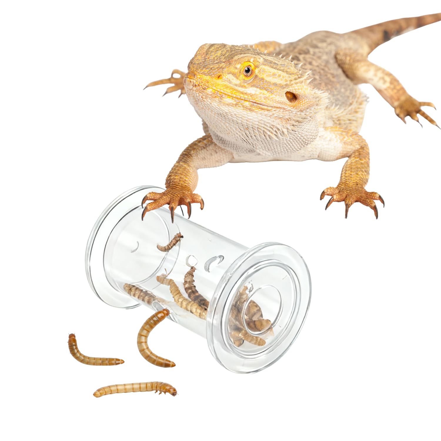 SEZDEKI Bearded Dragon Feeder Toy - Lizard Enrichment Interactive Toy Reptile Terrarium Tank Decor Foraging Accessories for Geck