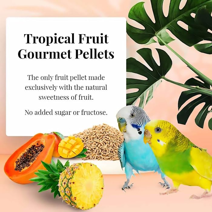 LAFEBERS Tropical Fruit Gourmet Pellets Pet Bird Food, No Added Sugar, Made with Non-GMO and Human-Grade Ingredients, for Parak