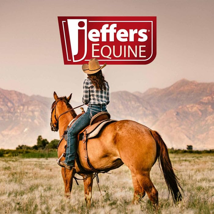 Jeffers Equine Citronella Aloe Horse Shampoo - Ph Balanced, All Natural, Deodorizing Wash For Horses, Pony, Foals - Natural Citr