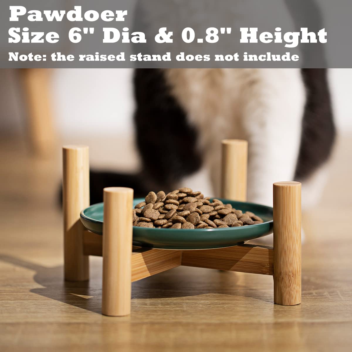 Pawdoer Ceramic Shallow Cat Dish 6 inch, Whisker Fatigue Free Cat Food Bowls, Wide and Small Pet Plate for Kitten and Kitty, Sho