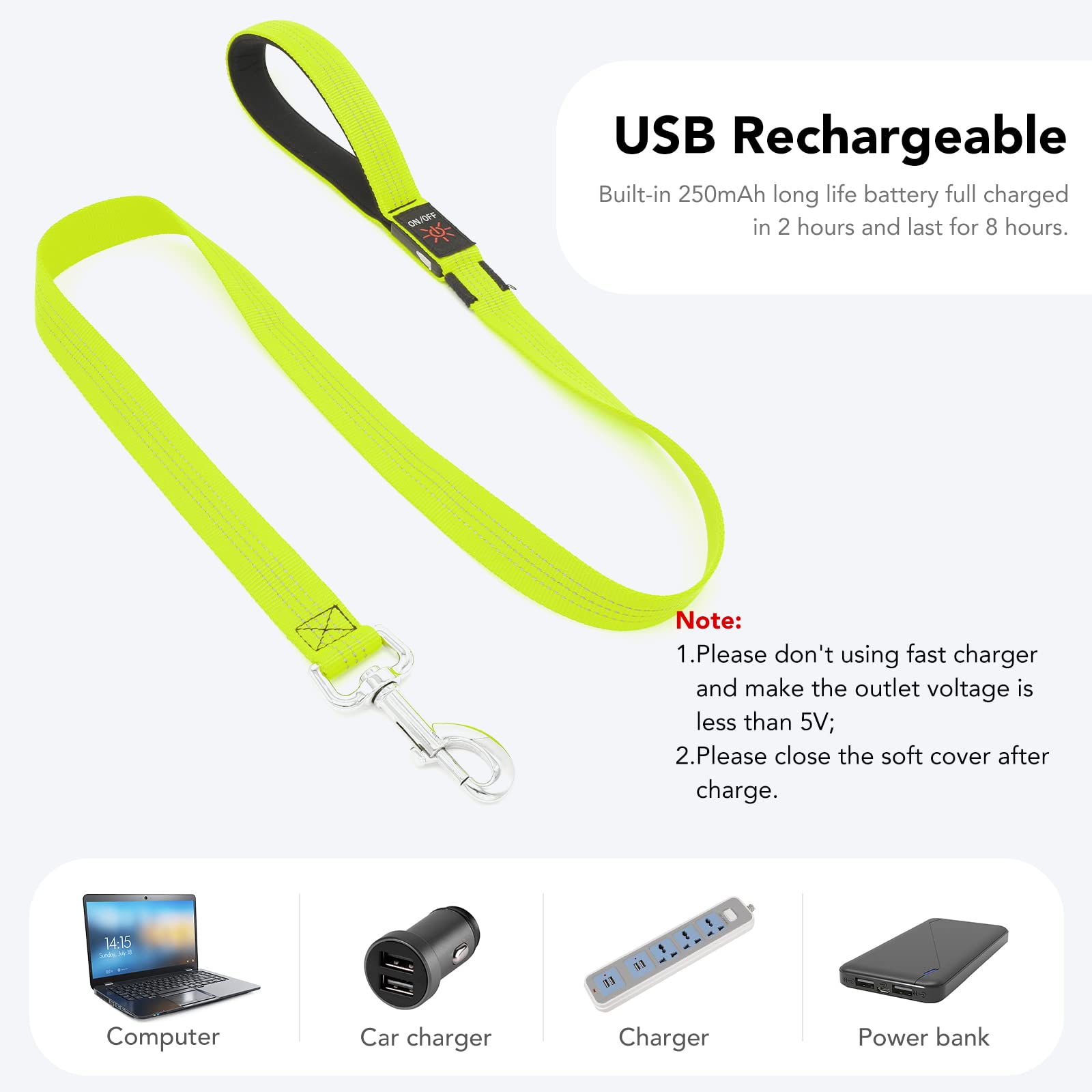 Colaseeme Light Up Dog Leash, 4FT LED Pet Leashes Micro USB Rechargeable, Nylon Glow Safety Dogs Lights at Night (Green & Reflec