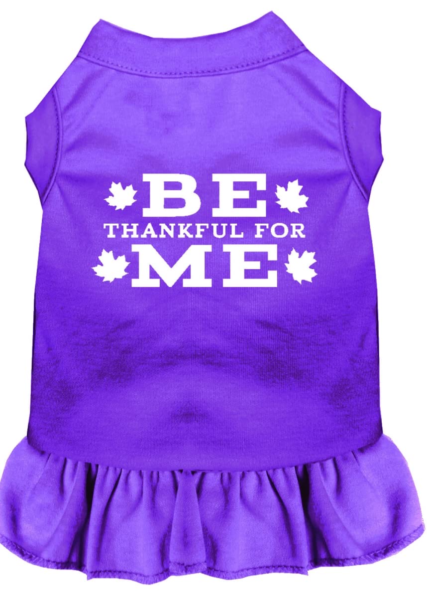 Pet Dog & Cat Dress Screen Printed, &quot;Be Thankful For Me&quot; Purple LG (10-14 lbs.)