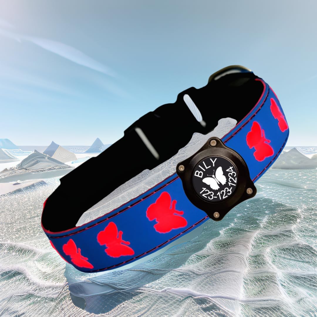 Dogled Usb-C Led Light Up Dog Collar, 3D Design Comfortable And Soft Material,Multicolored Lighting,Night Dog Collar (Bt-Blue, X