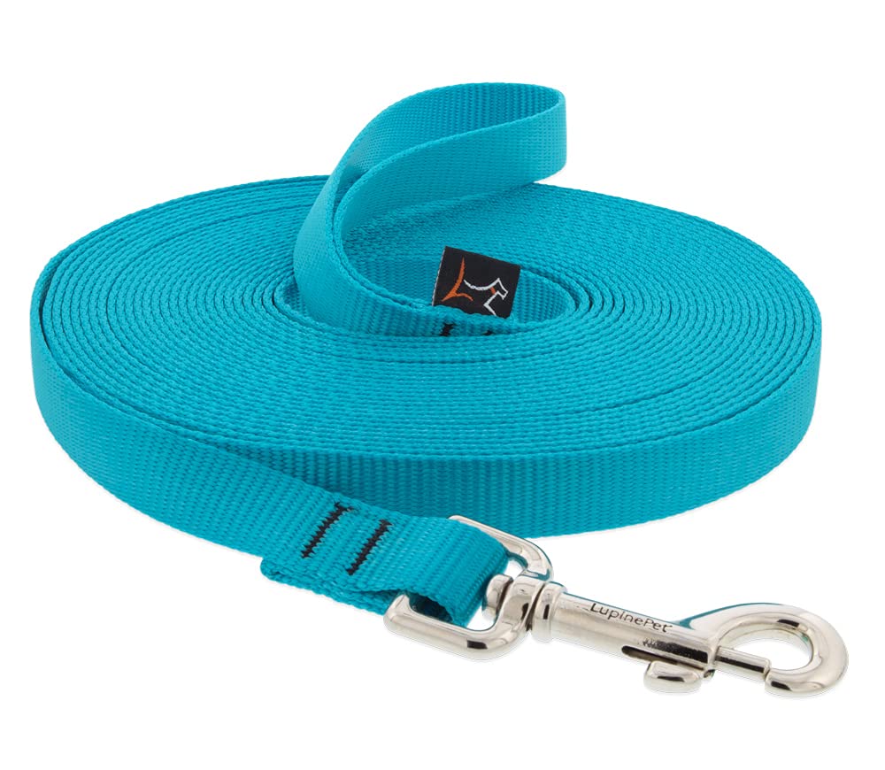 LupinePet Basics 3/4'' Aqua 15-Foot Extra-Long Training Leash for Dogs