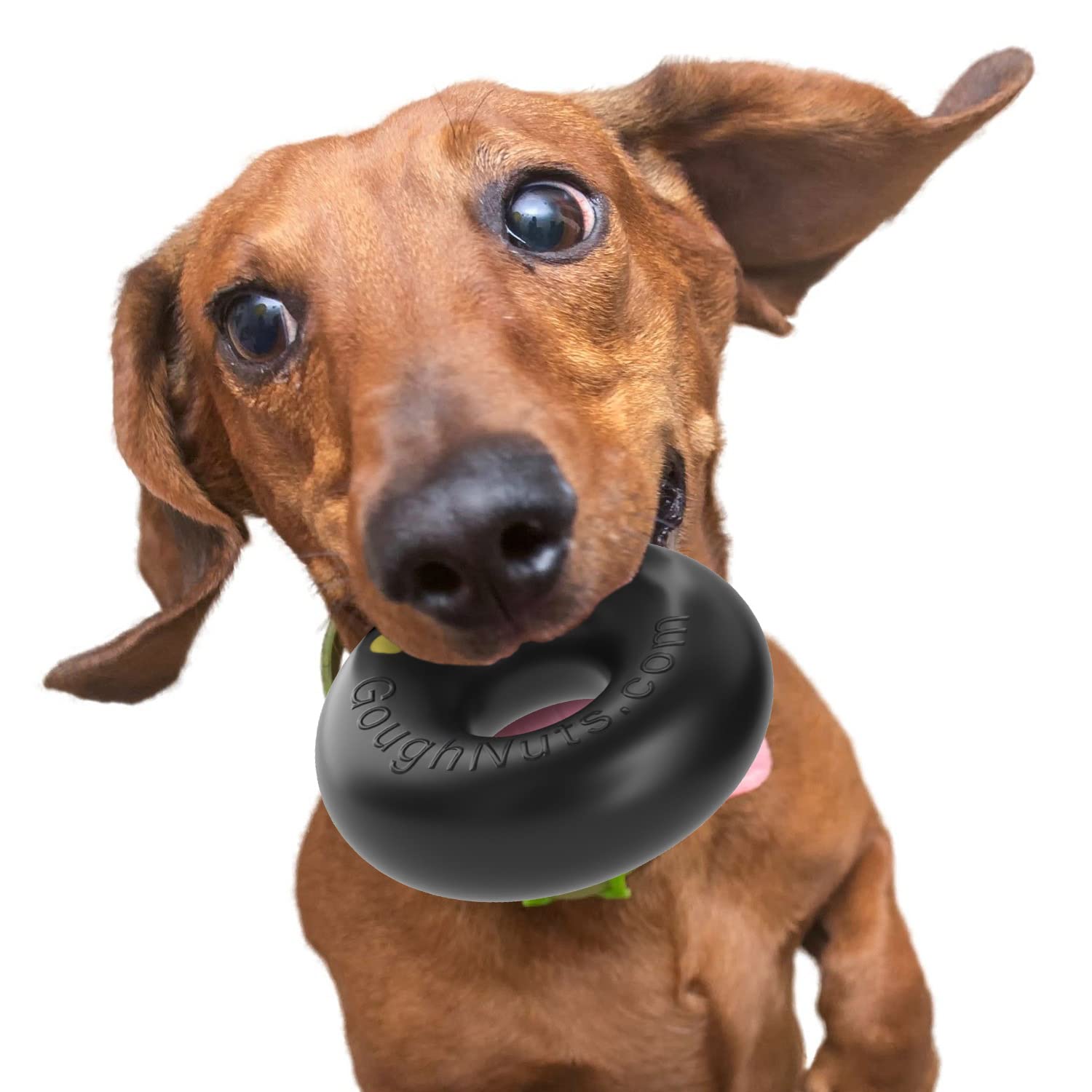 Goughnuts - Dog Toys For Aggressive Chewers | Virtually Indestructible Dog Toys For Small Breeds Such As Pit Bulls | Heavy Duty 