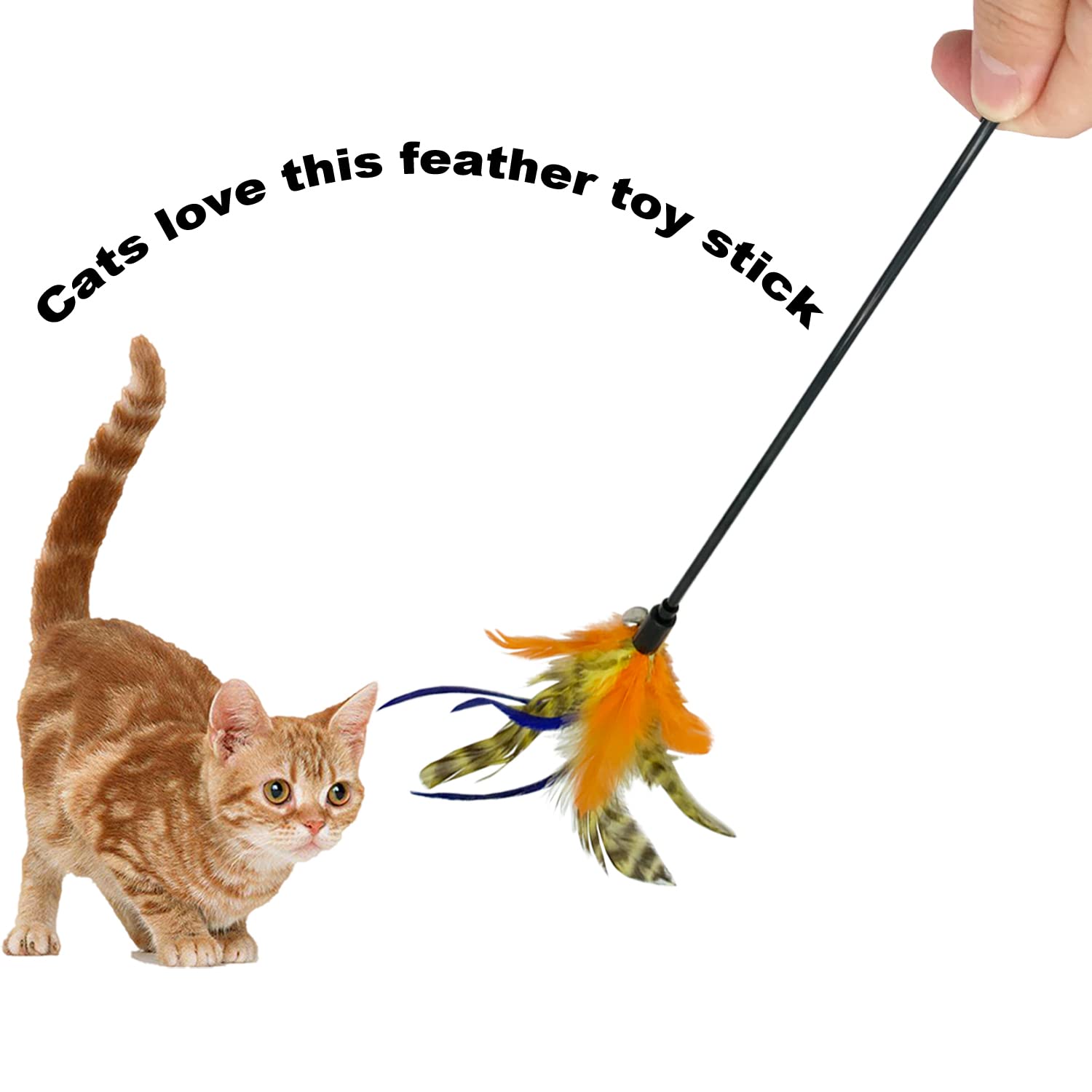 Cateness Cat Wand Toy Feather Stick Cat Toys, 6 Pieces Interactive Cat Toy Feathers Wand For Indoor Cats (C)
