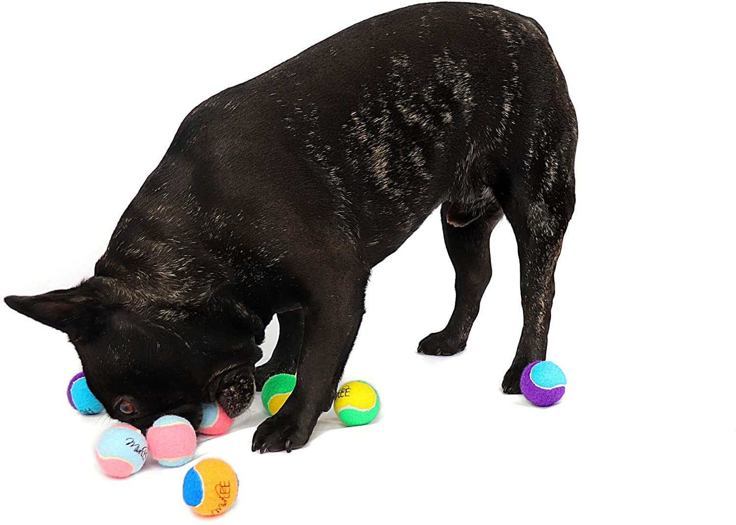Midlee X-Small Dog Tennis Balls 1.5'' Pack Of 12 (Assorted, 1.5 Inch)