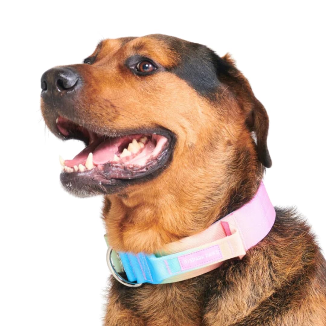 Spark Paws Tactical Dog Collar With Handle - Premium Quality Collar, Robust And Durable Design For Large, Strong Breeds - Pitbul