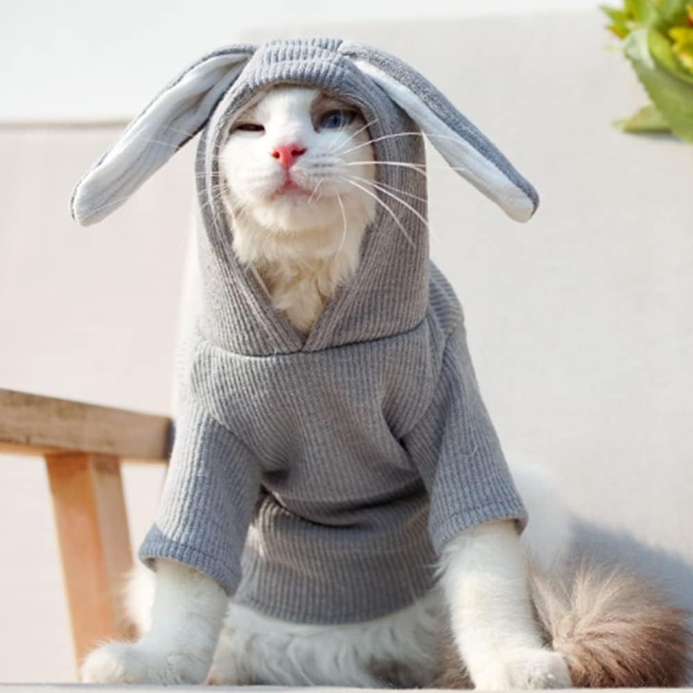 Aniac Pet Hoodie Cat Rabbit Outfit With Bunny Ears Cute Sweatshirt Spring And Autumn Puppy Knitted Sweater Kitty Soft Knitwear (Small, Grey)
