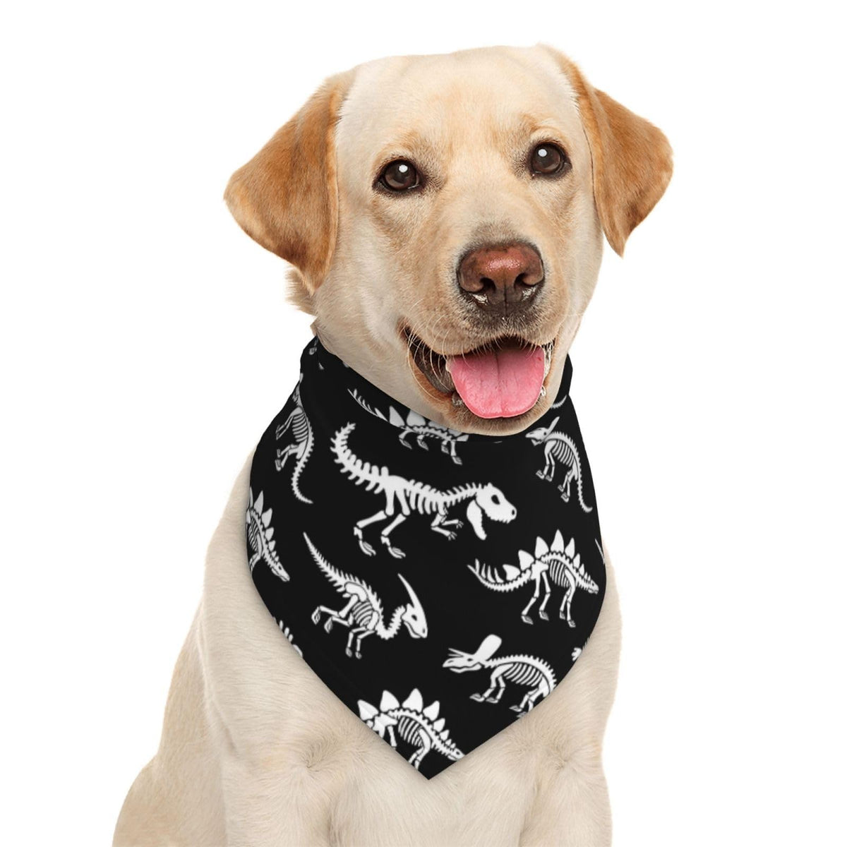Dinosaur Skeleton Fossil Primitive Halloween Dog Bandana Scarf Triangle Bibs Pet Accessories Cat Kerchief