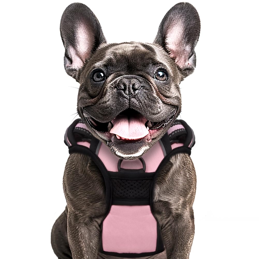 Buddy'S Best Dog Harness With 2 Leash Clips, Adjustable Soft Padded No-Pull Dog Vest Harness, Reflective, No-Choke Pet Oxford Ve