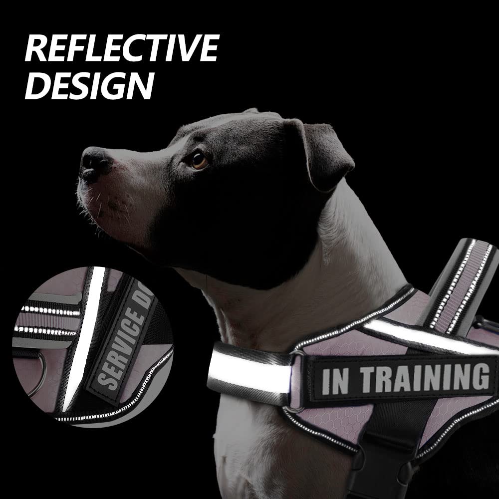 Animire Dog Vest Harness (Medium, Pink) - Includes 8 Patches, Reflective, Lightweight, Soft Padded Handle On Top, For Training S