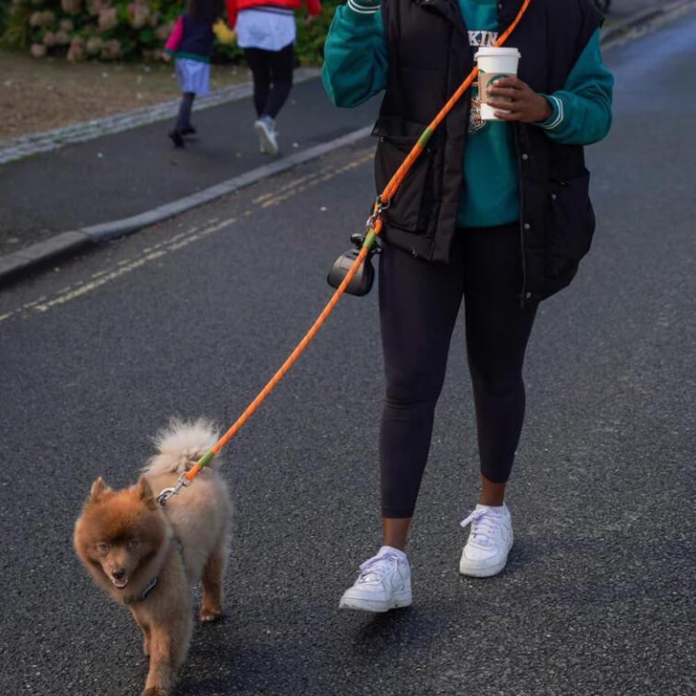 Pawstrip Hands Free Dog Leash Waist & Crossbody Rope With Slip Lead Durable For 2 Dogs Nylon Reflective Heavy Duty Hiking Bungee Leash For Small Large Dogs (Orange)