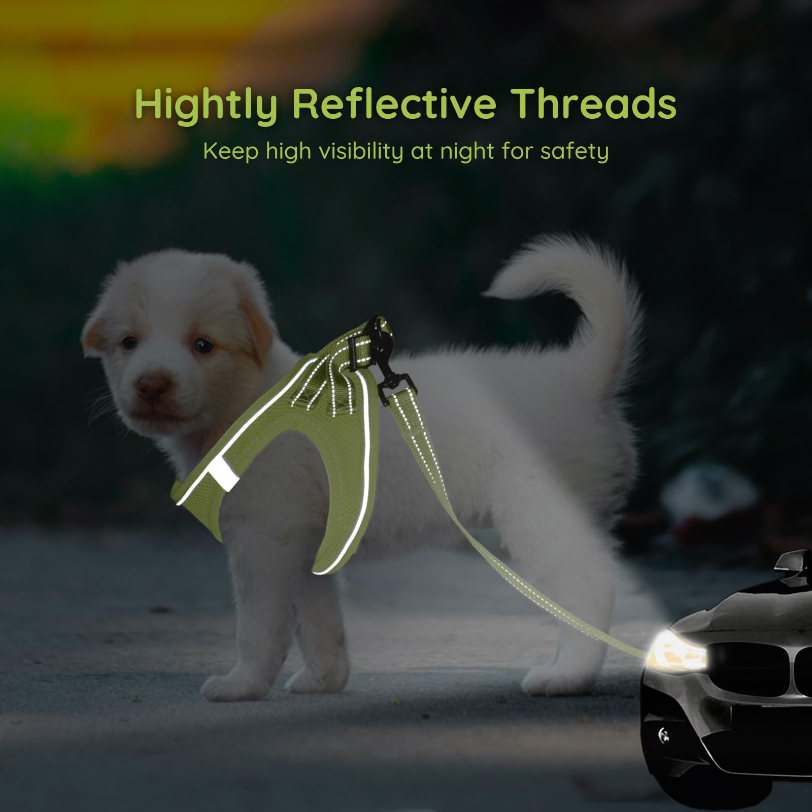 Bella & Pal Puppy Harness With Leash Set, Step In Harness For Small Dogs, Dog Air Mesh Dog Vest Harness With Reflective Strip, No Pull No-Chock Harness For Xxs, Xs, Small, Medium Dog Cat (Xs)