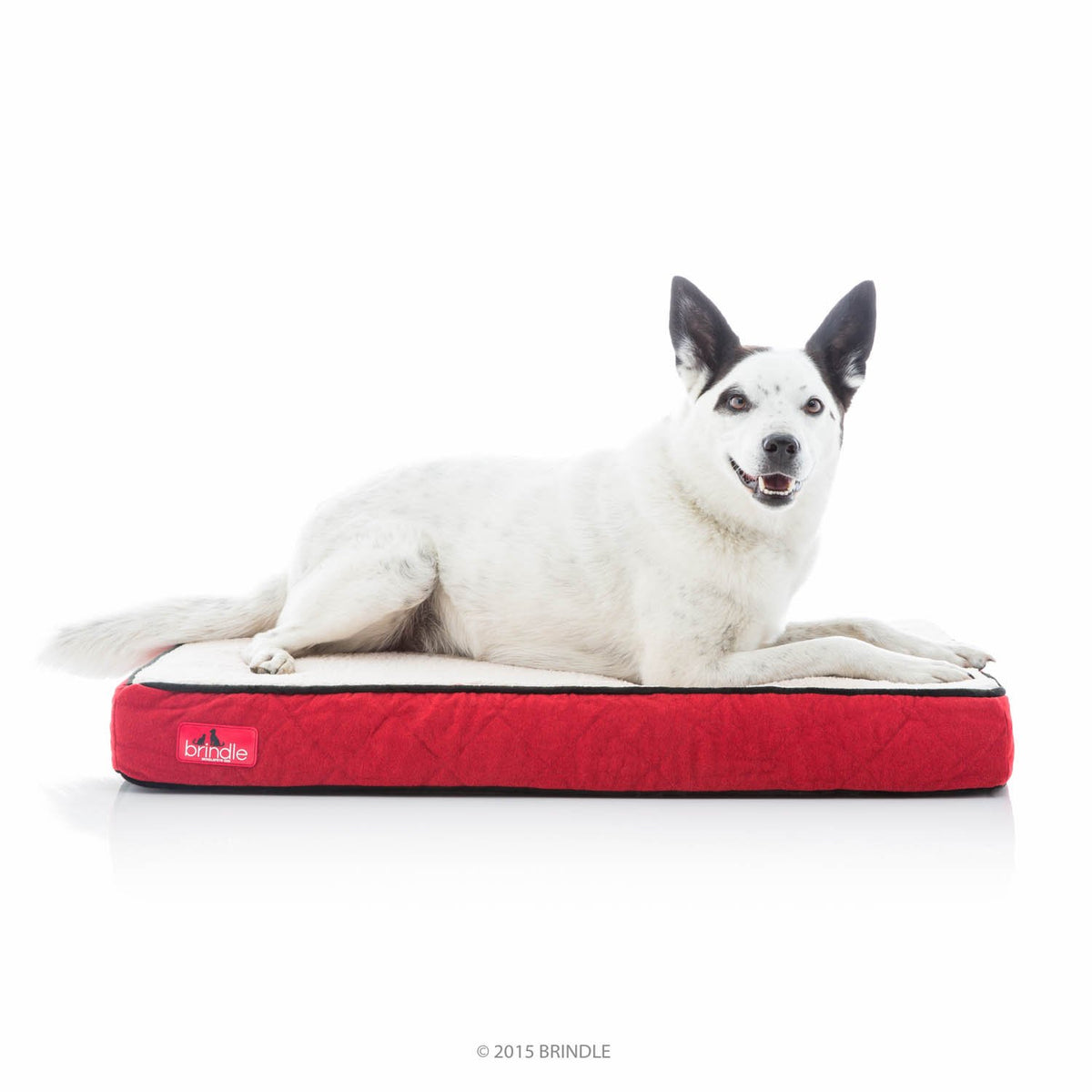 Brindle Waterproof Designer Memory Foam Pet Bed-Removable Machine Washable Cover-4 Inch Orthopedic Pet Bed-Joint Relief, Red She
