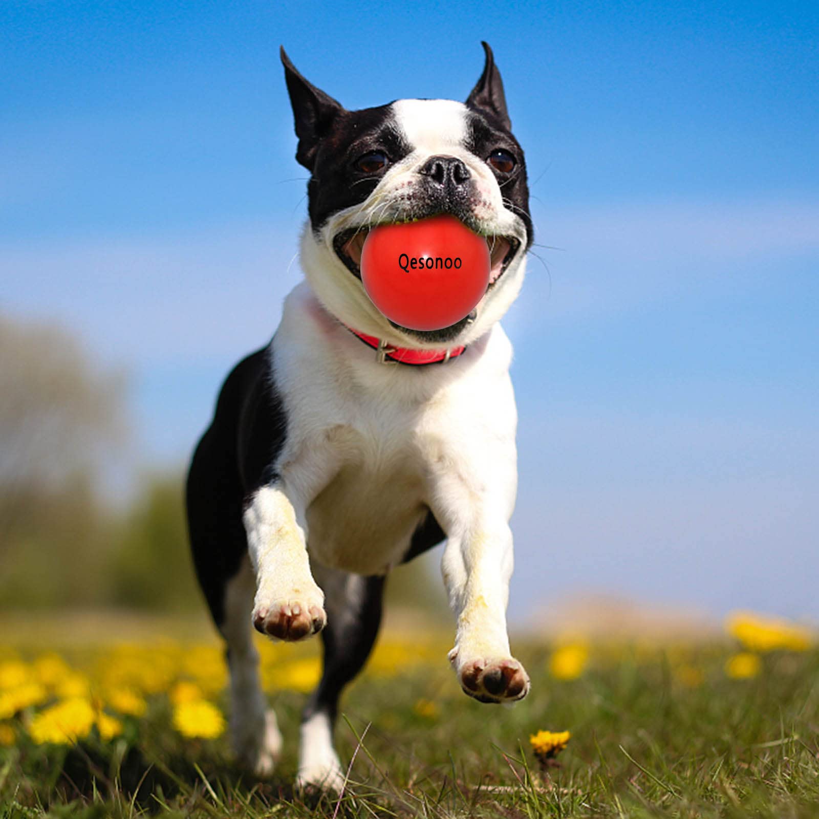 Qesonoo Dog Balls Indestructible,Solid Rubber Bouncy For Dogs Aggressive Chewers Large Breed,Non-Toxic&Floating&High Elasticity,Durable Fetch Ball Medium To Chew,Play And Training. (Red)