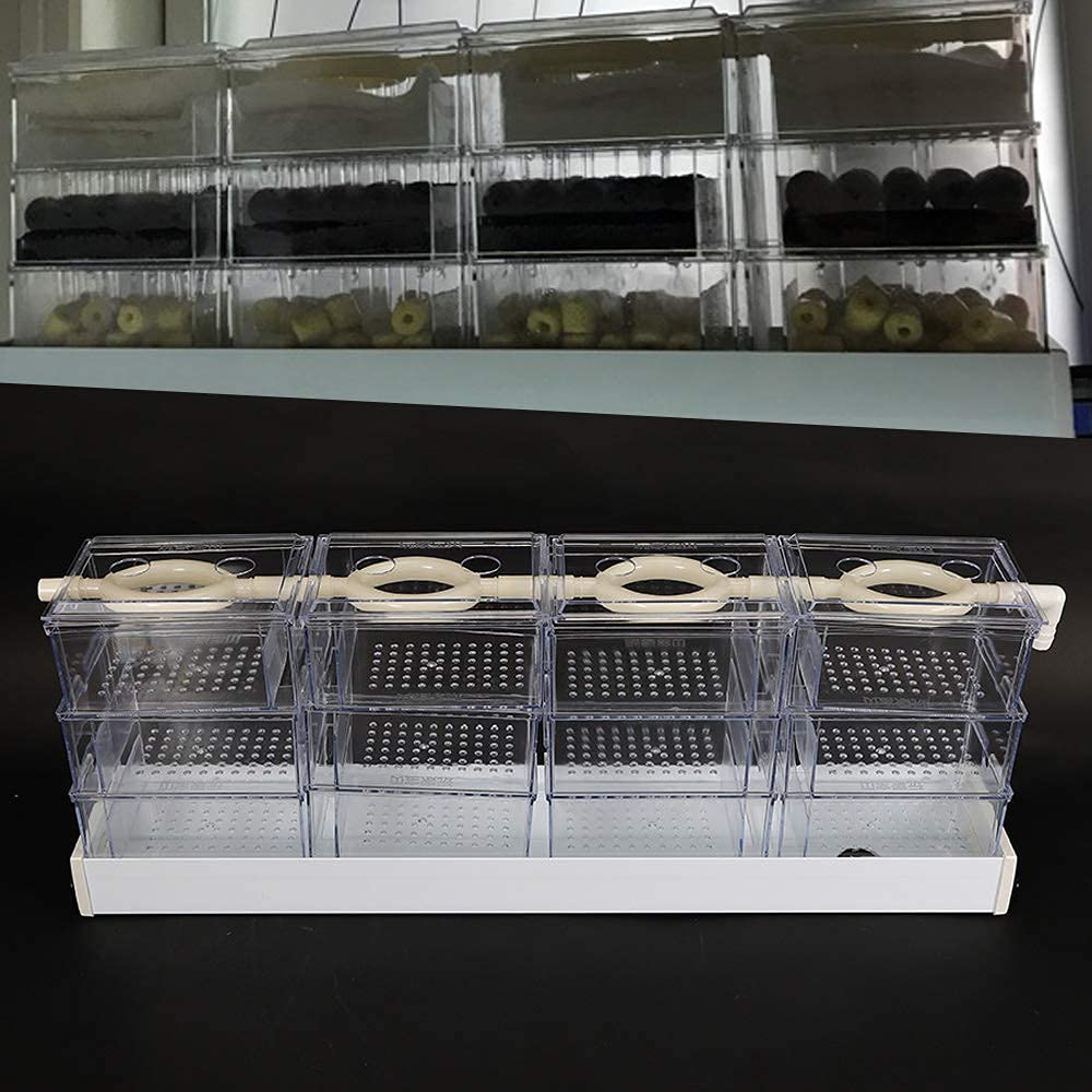 Wupyi Aquarium External Filter Fish Tank External Filter Box Aquarium Filter Fish Tank Upper Trickle Box Filters System 12 Box,Transparent