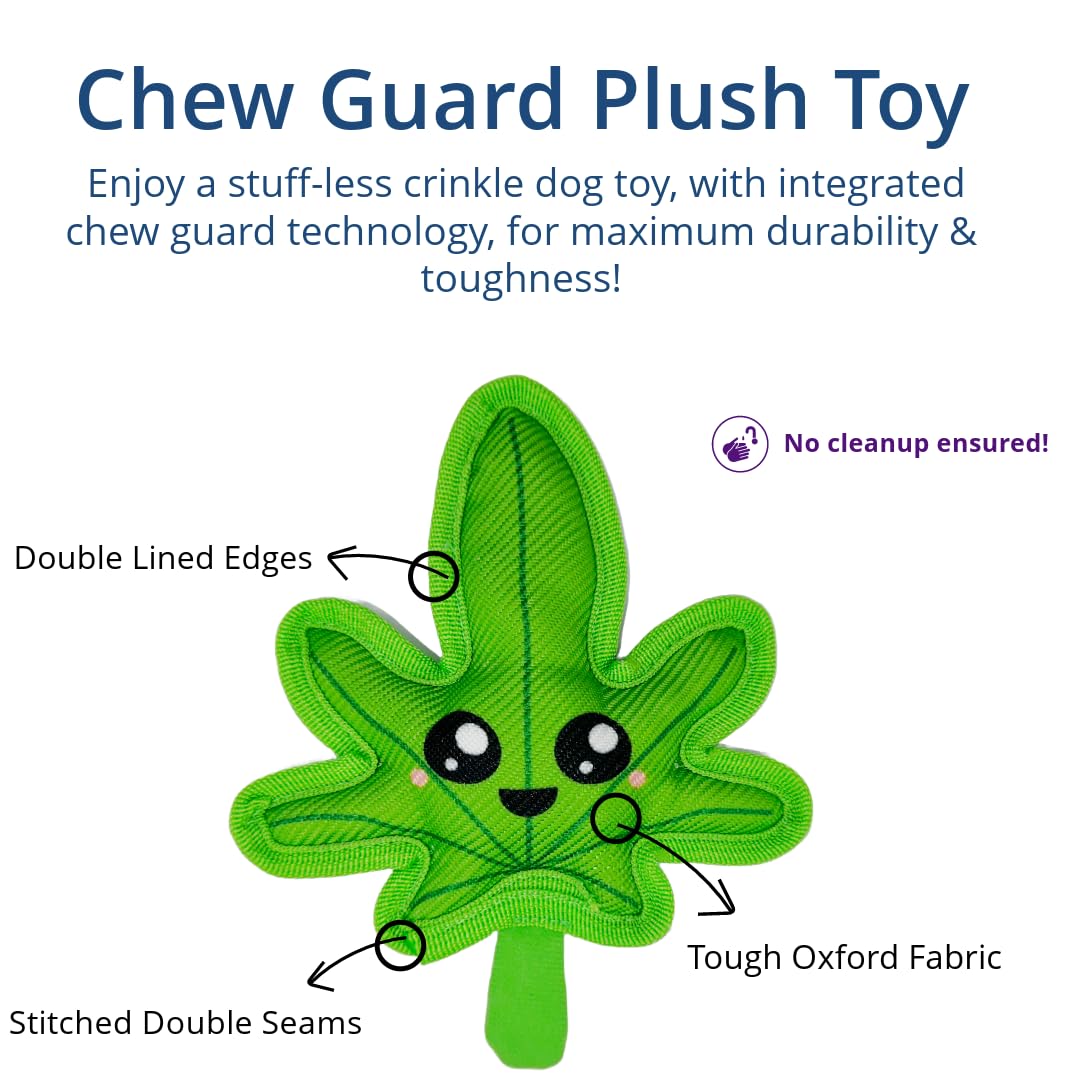 Toygenics Weed Toy | Funny Crinkle Chew Toys | Tough Plush Squeaky Toys For Small & Medium Breed Dogs | Raw Dog Toy