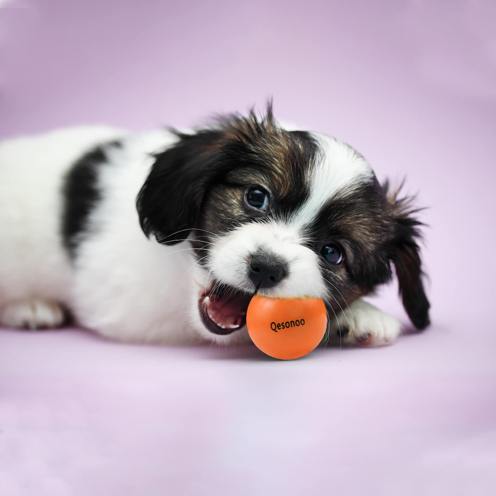 Qesonoo Dog Balls Indestructible,Solid Rubber Bouncy for Dogs Aggressive Chewers Small Breed,Non-Toxic&Floating&High Elasticity,