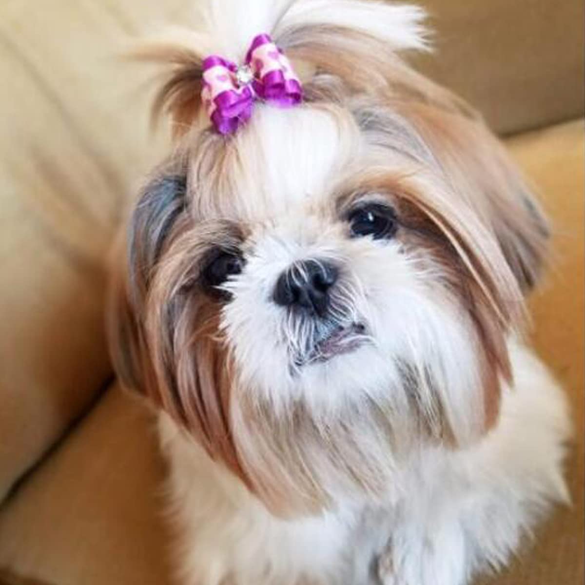 Dog Hair Bows,Fzbnsrko 10 Pcs Dogs/Cats Double Bow With Fake Diamonds Dog Hair Bows With Rubber Bands Small Dog Hair Bowknot Gro