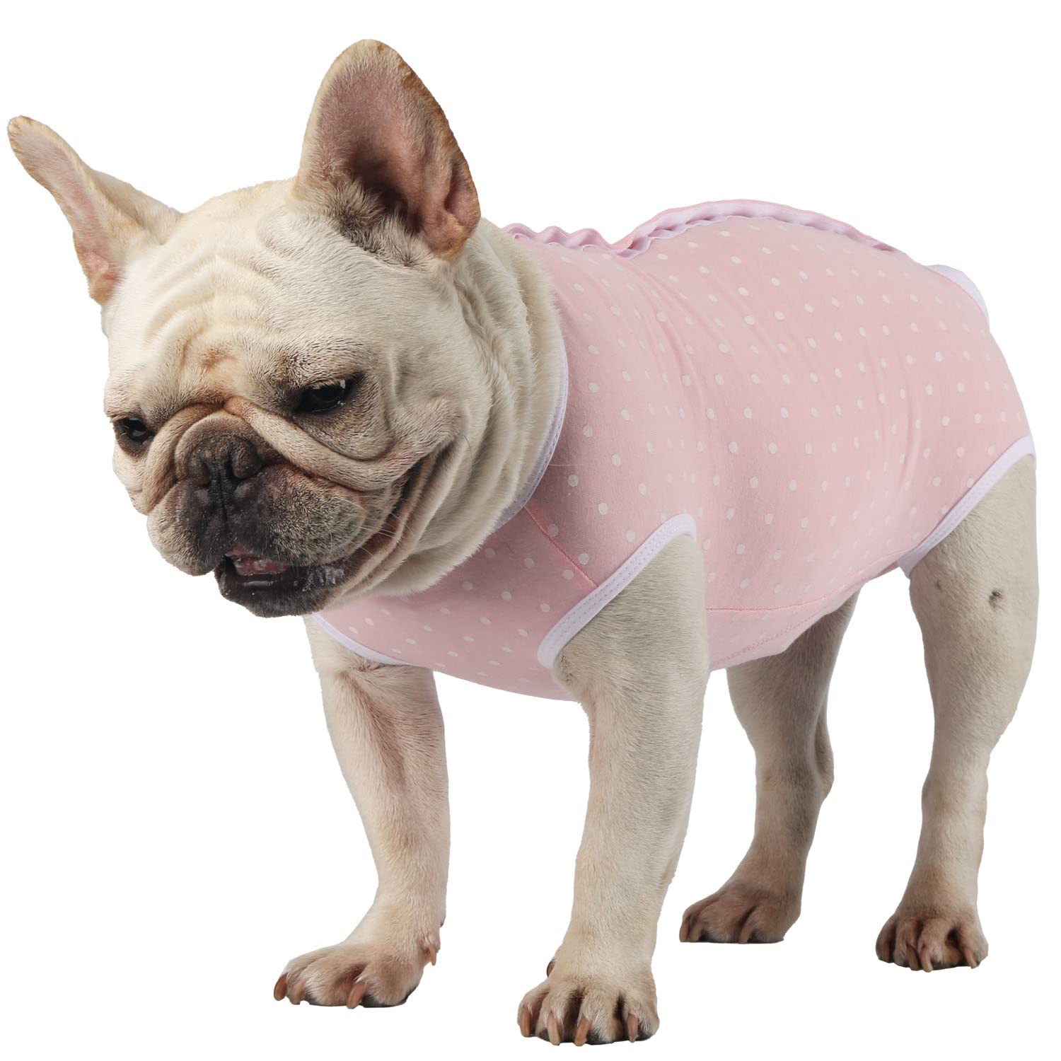Etdane Dog Diapers Sanitary Panties Physiological Period Shirts Surgical Recovery Suits For Male And Female Dogs Pink Polka Dots
