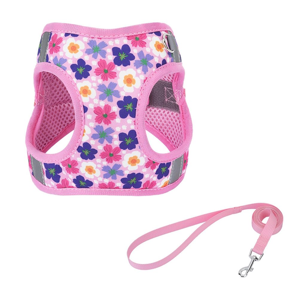 Step in Dog Harness and Leash Set, Flower Adjustable Easy Walk Puppy Harnesses, Soft Mesh No Pull Pet Vest Harness for Small Dog