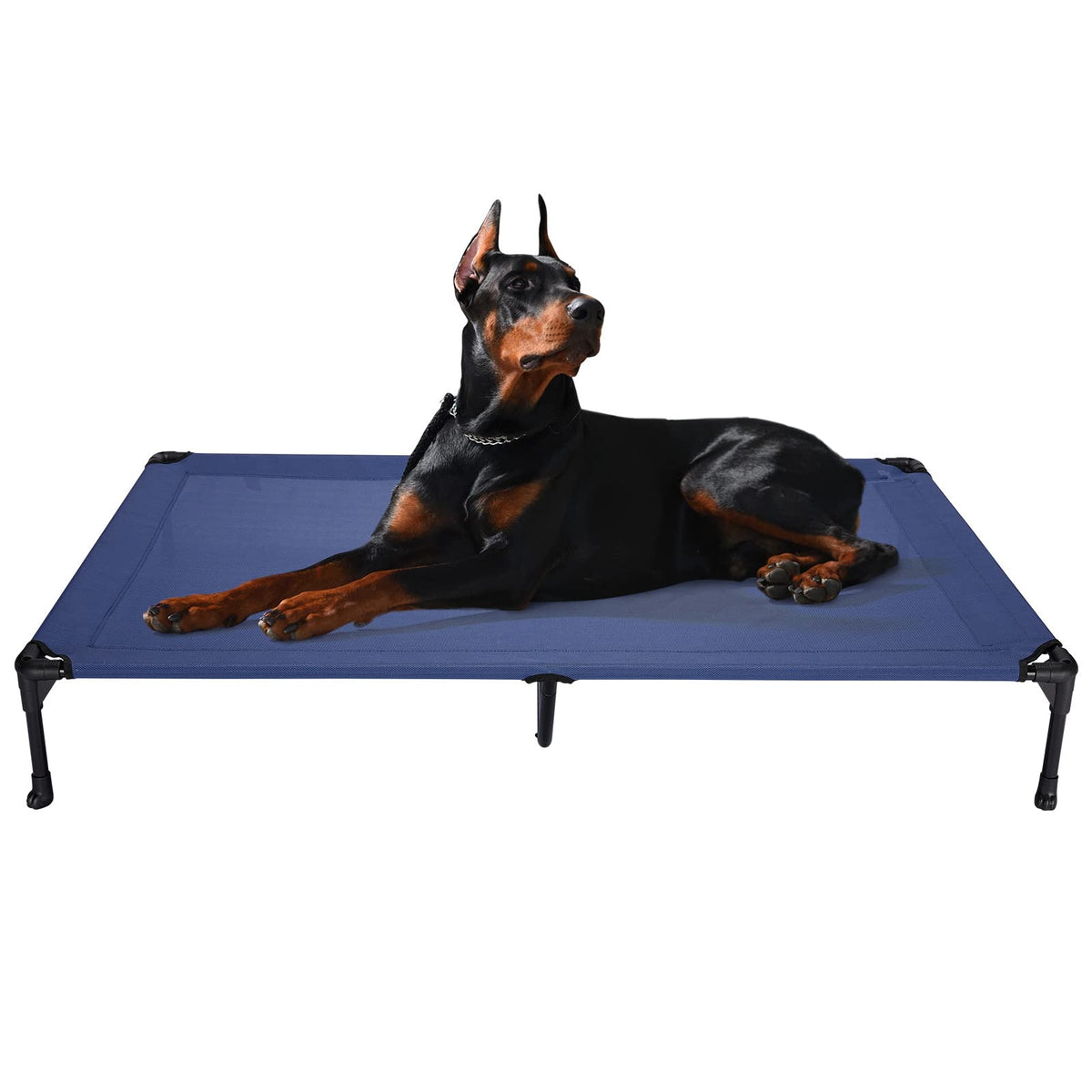 Veehoo Cooling Elevated Dog Bed, Portable Raised Pet Cot With Washable & Breathable Mesh, No-Slip Feet Durable Dog Cots Bed For Indoor & Outdoor Use, Xx-Large, Cwc1803-Xxl