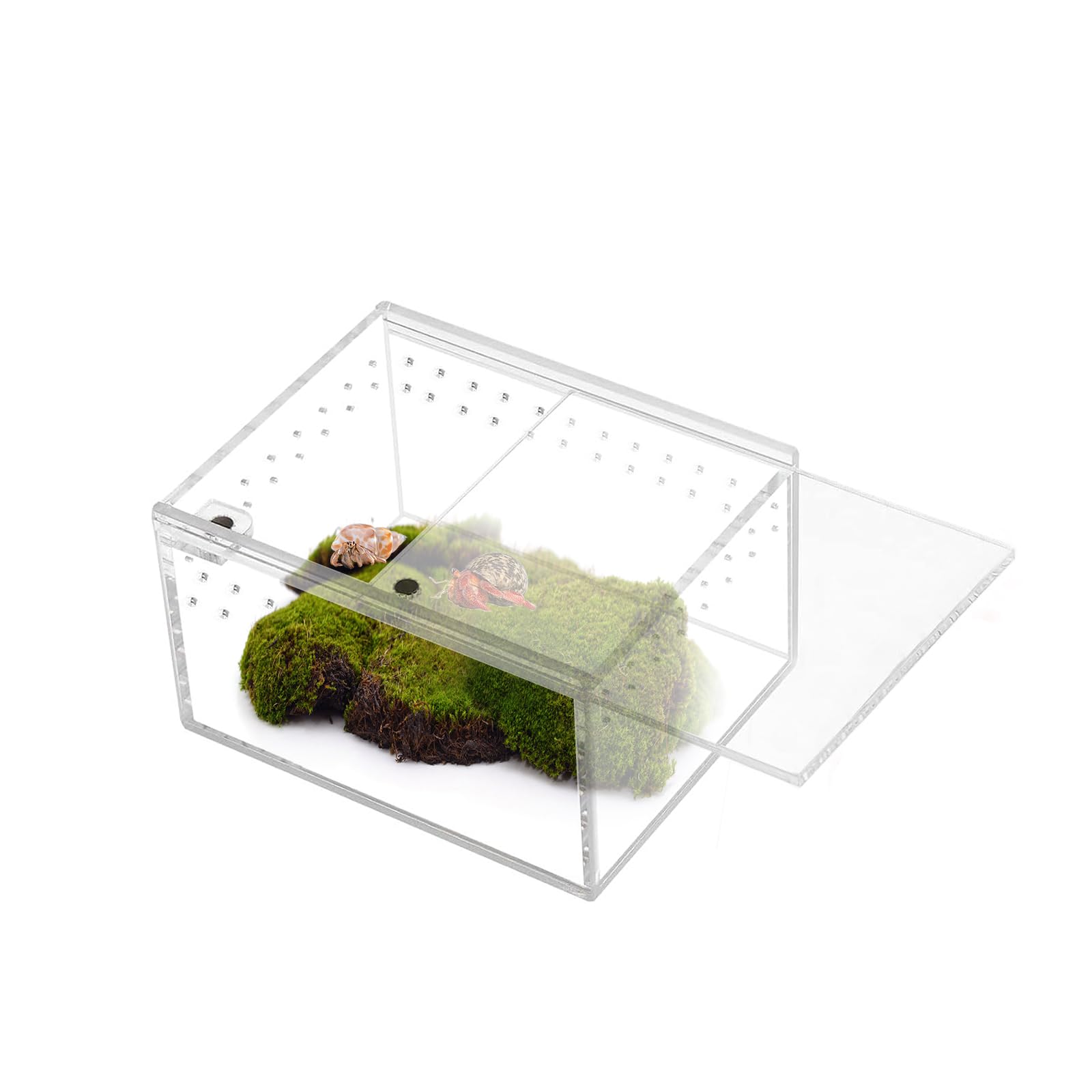 Magnetic Acrylic Jumping Spider Enclosure Clear Reptile Terrarium Insect Enclosure Reptile Breeding Box Micro Insect Habitat Car