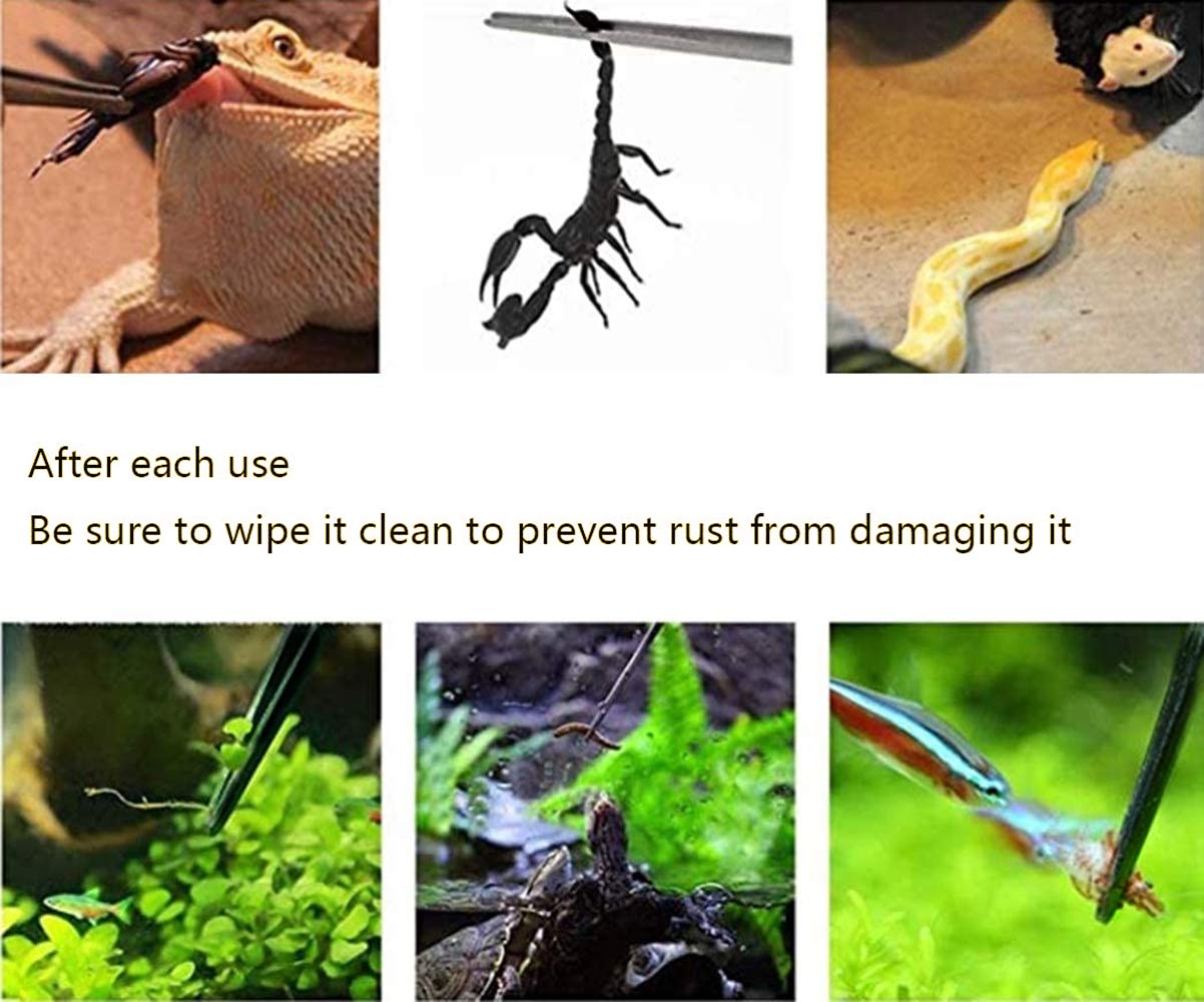 Mrtioo 2Pcs 10.5' Reptile Stainless Steel Long Tweezers Feeding Tongs, Lizards Snake Gecko And Tarantula Supplies, Terrariums Aquarium Fish Tank Tools - 10.5' Black 2Pcs