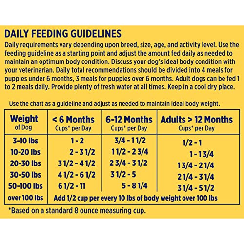 Natures Recipe Grain Free Salmon, Sweet Potato & Pumpkin Recipe Dry Dog Food, 12 lb. Bag