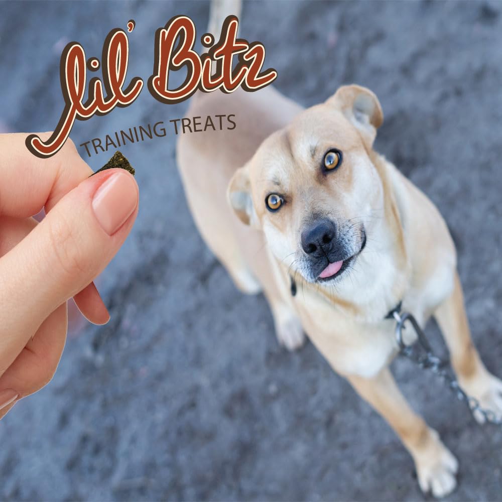 Lil Bitz Training Treats for Dogs and Cats (1 Pack, All Dog Sizes - Hickory Smoked Beef)