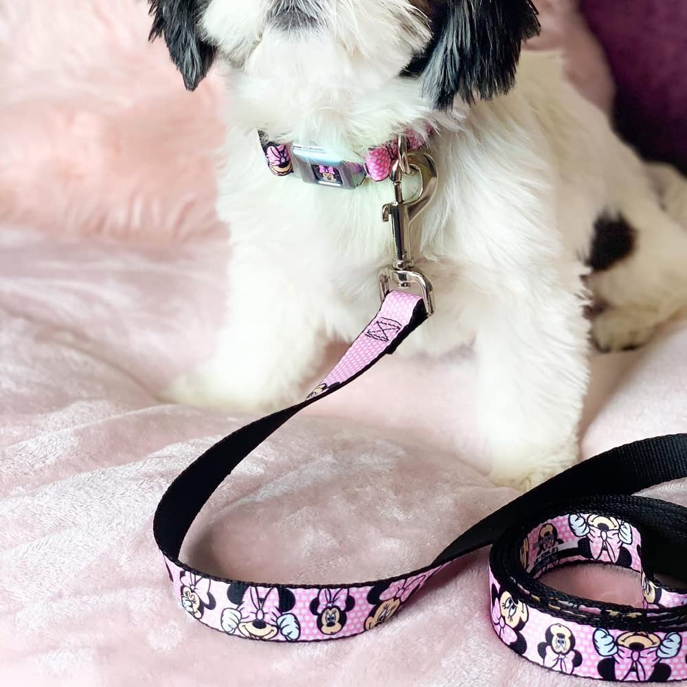Buckle-Down Pet Leash - Minnie Mouse Expressions Polka Dot Pink/White - 6 Feet Long - 1/2'' Wide