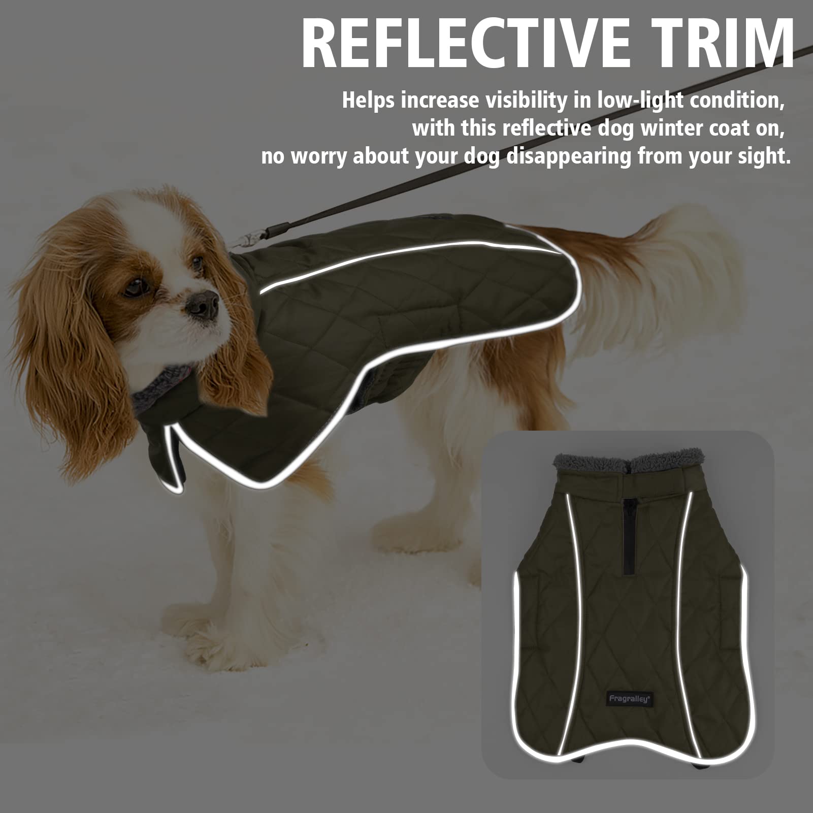 Fragralley Winter Coat - Windproof, Adjustable Dog Jacket, Waterproof, Turtleneck Clothes Doggie Cold Weather Vest Fleece (Armyg