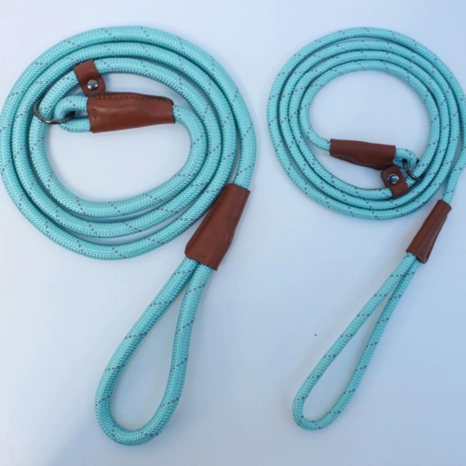 Slip Lead Dog Leash - 5Ft, 2 Sizes - Reflective Mountain Climbing Rope (Black, 2/1)