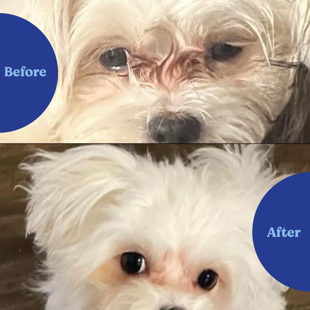 ANGELS' EYES Natural Tear Stain Prevention Soft Chews for Dogs, Chicken Flavor, 120 Count, Limited Edition, No Wheat No Corn