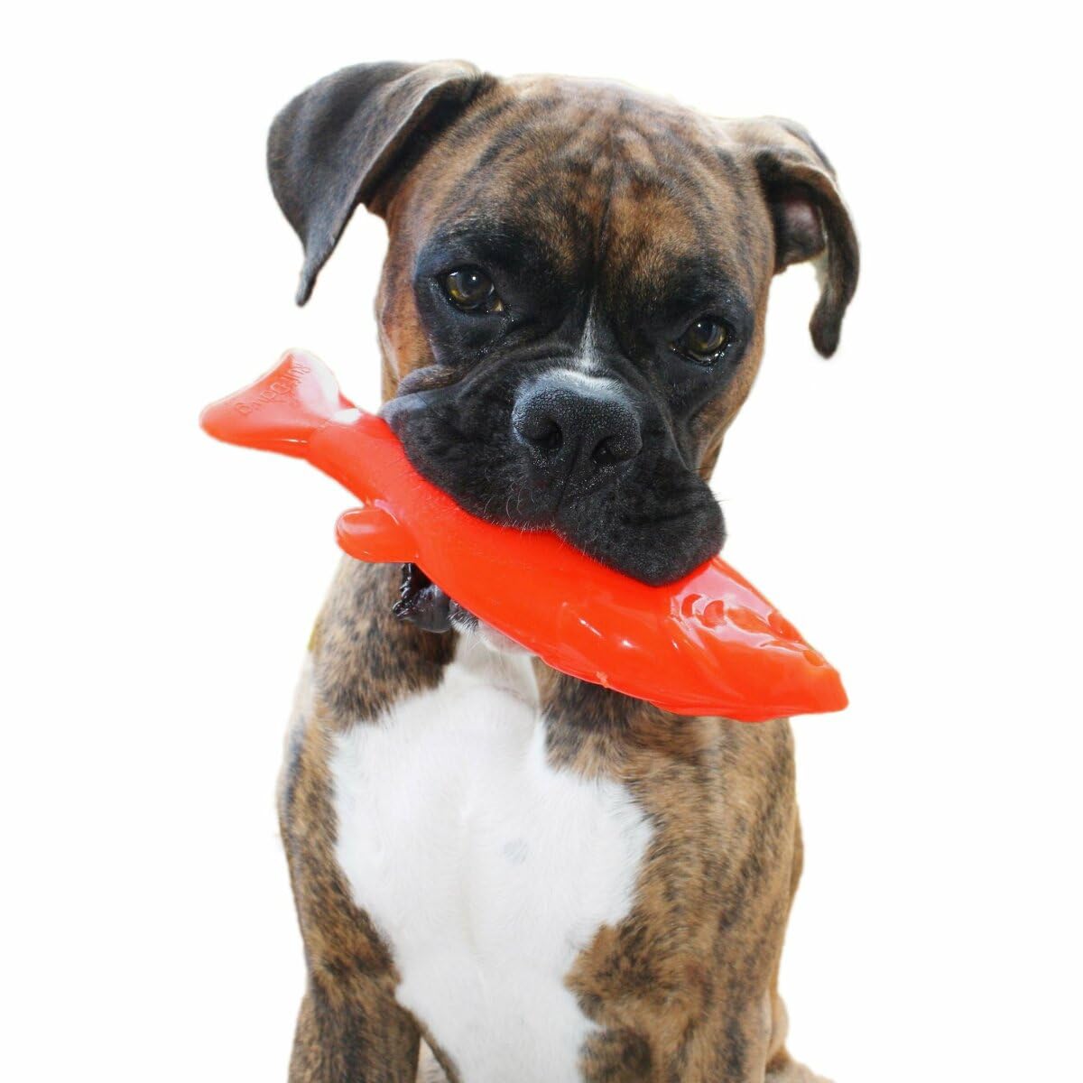 Ruff Dawg Flying Fish - Durable Floating Dog Toy For Water & Land Play - For All Breeds - Made In The Usa - Bright Neon Colors For Visibility And Fun