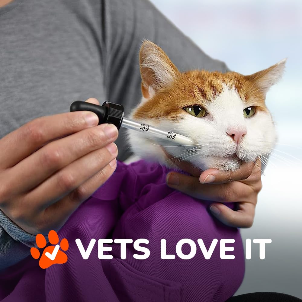 Cat-in-the-Bag Cozy Comfort Carrier - Large Lavender Cat Carrier Soft, Cat Restraint Bag and Cat Sling Carrier for Grooming, Vet