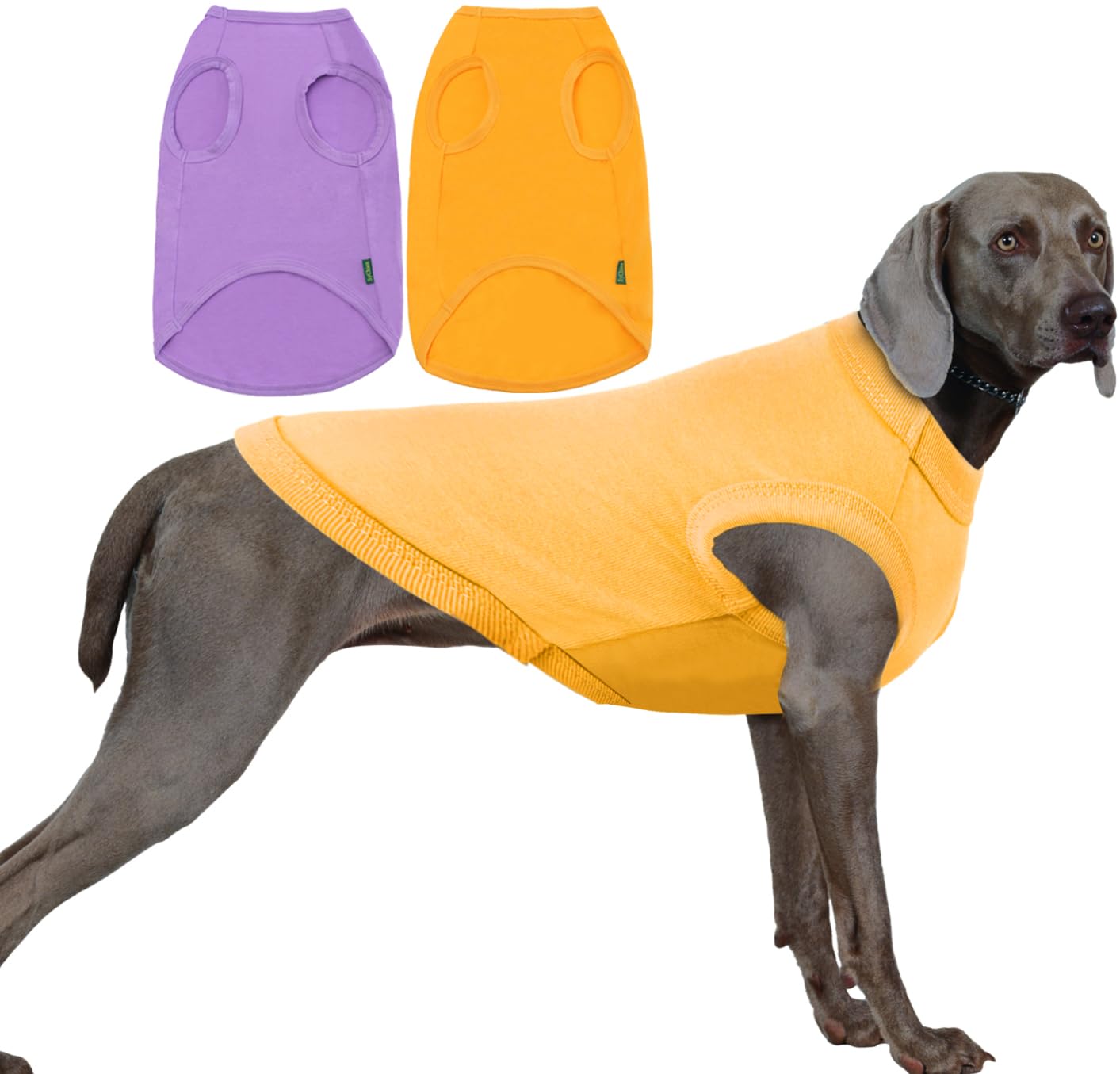 Sychien Dog Blank Cotton Shirts,Plain Dogs Large Big Clothes,Yellow & Purple XXXL