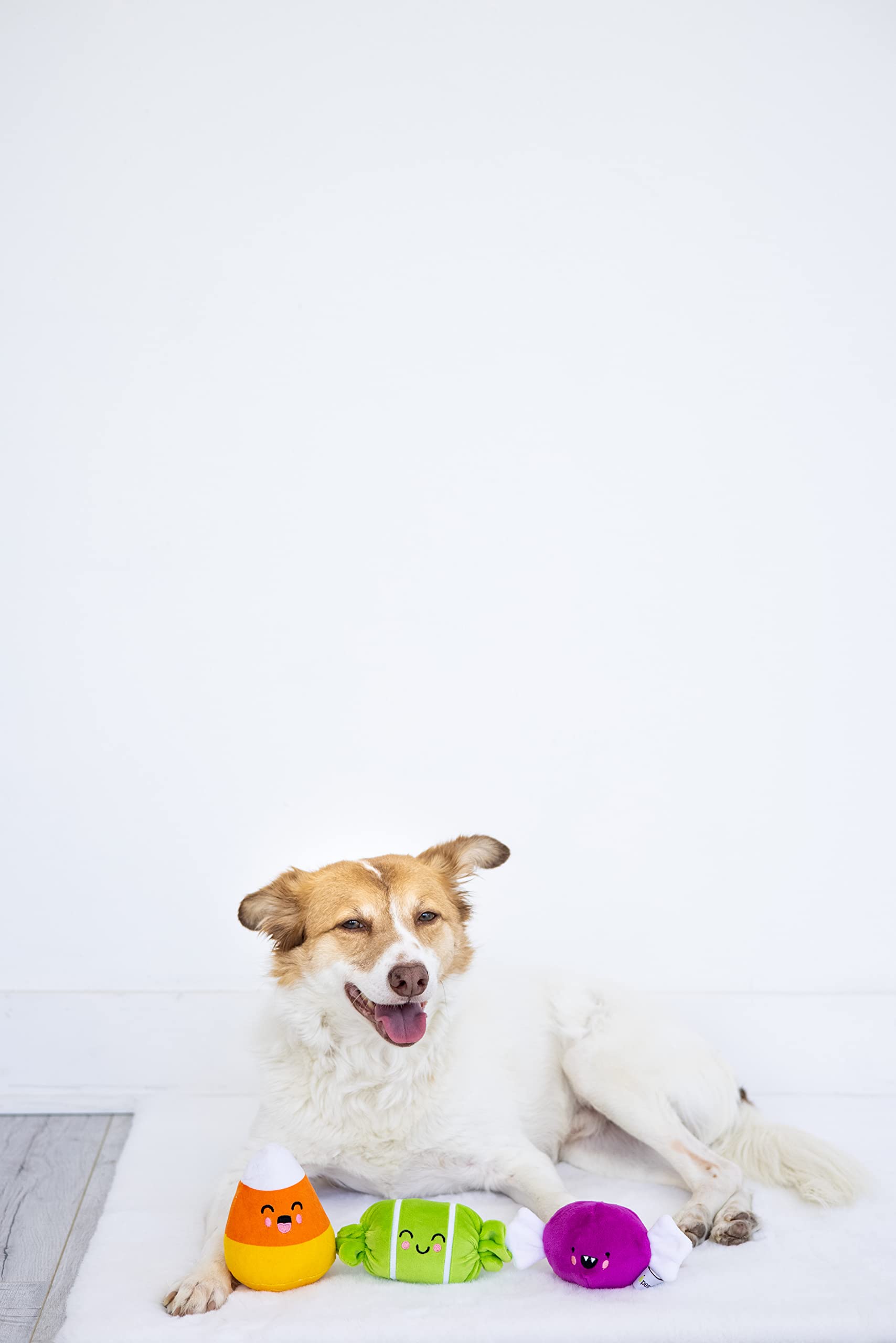 Pearhead Halloween Candy Dog Toys, Set Of 3, Plush Dog Toys, Squeaky Dog Toy, Holiday Pet Toys, Must Have Pet Accessories For Pet Owners