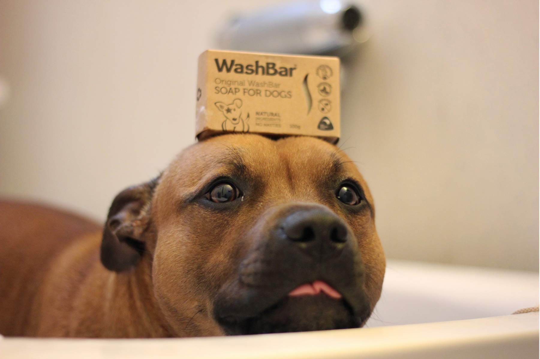Washbar Natural Dog Soap Bar - Natural Dog Shampoo Bar And Dog Shampoo For Smelly Dogs With Sensitive Skin, Easier To Use Than Liquid Pet Shampoo With No Plastic Bottle Waste, 2-Pack