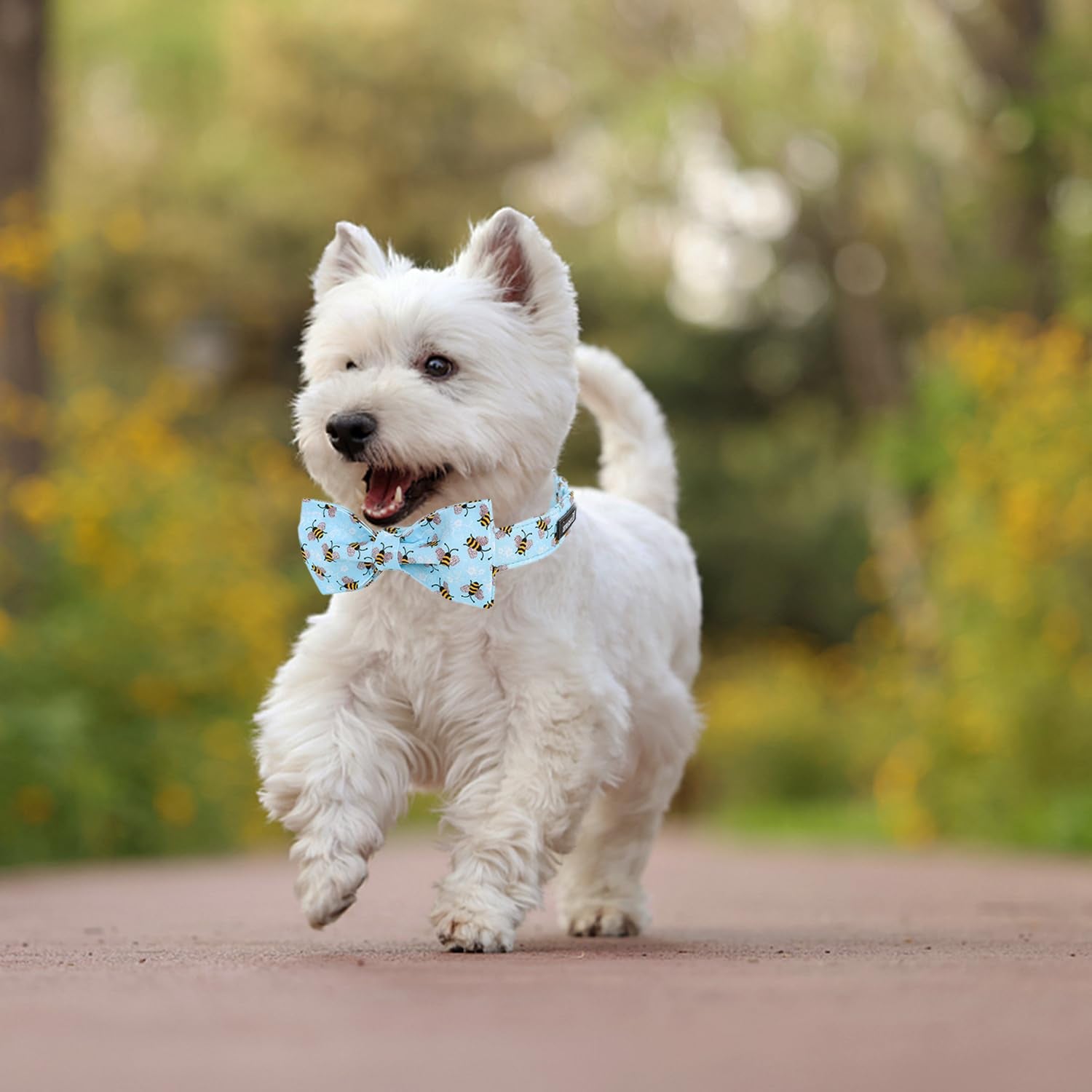 Maca Bates Blue Bee Dog Collar With Bow Bowtie For Dogs Bow Tie Adjustable Breakaway Blue Collars Accessories Birthday Gift For