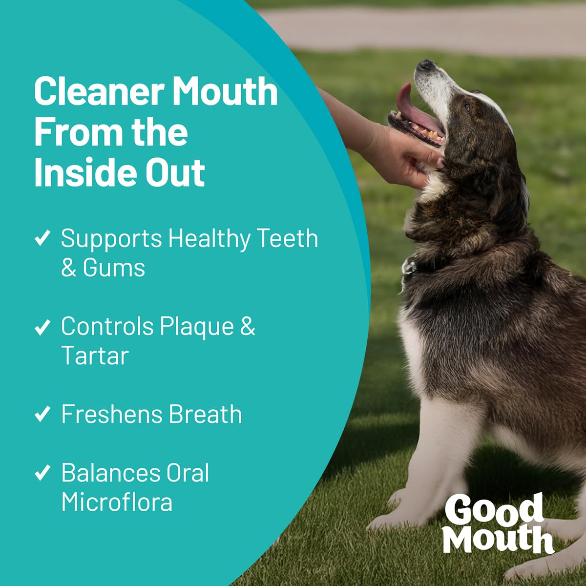 Pet HealthWorks Good Mouth Dental Chews for Dogs - Controls Plaque & Tartar, Fresh Breath, Cheeseburger Flavor, 60 Soft Chews